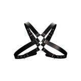 leather-harness-with-large-buckle-one-size