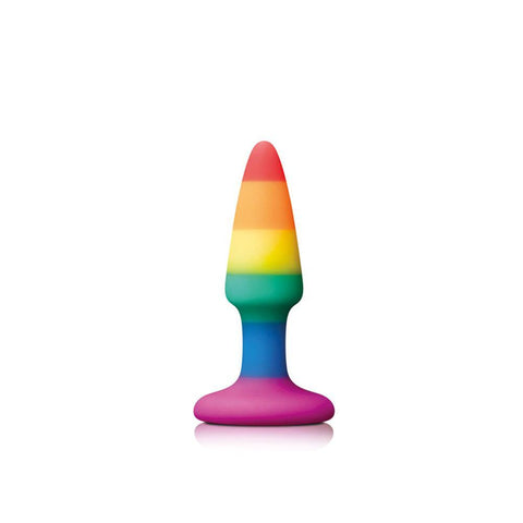 Pride Pleasure Plug Rainbow Mini - Scantilyclad.co.uk 