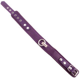 Rouge Garments Plain Purple Leather Collar - Scantilyclad.co.uk 