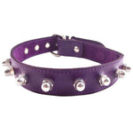 Rouge Garments Purple Nut Collar - Scantilyclad.co.uk 