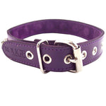Rouge Garments Purple Nut Collar - Scantilyclad.co.uk 
