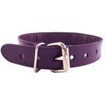 Rouge Garments Purple Studded O-Ring Studded Collar - Scantilyclad.co.uk 