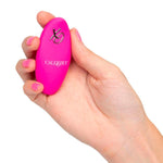 Remote Control Dual Motor Kegel System - Scantilyclad.co.uk 