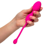 Remote Control Dual Motor Kegel System - Scantilyclad.co.uk 