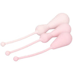 Inspire Weighted Silicone Kegel Training Kit - Scantilyclad.co.uk 