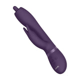 Vive Nilo Purple Pinpoint Rotating G Spot Rabbit - Scantilyclad.co.uk 