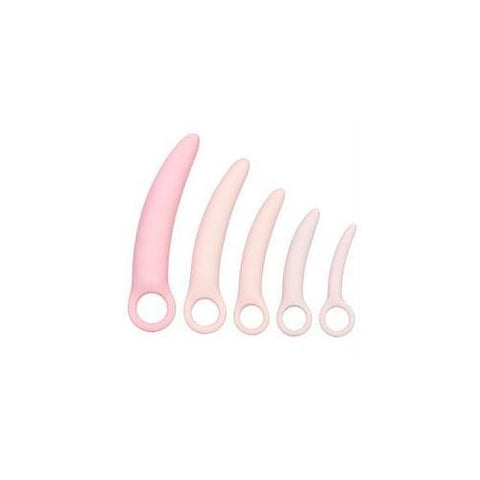 Inspire Silicone Dilator Kit - Scantilyclad.co.uk 